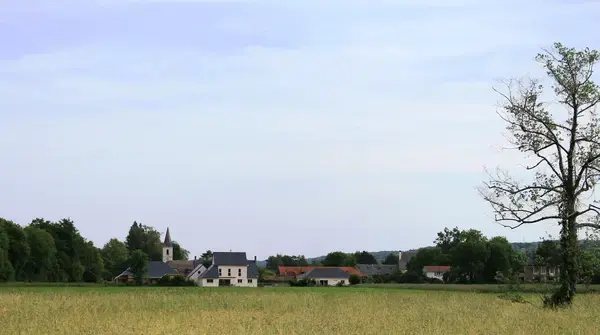 Occasion Monte Escalier Monte-escalier Allier