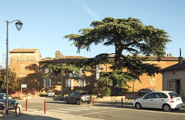 Occasion Monte Escalier Monte-escalier Aussonne