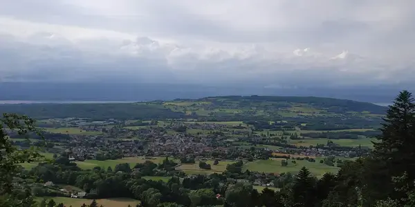 Occasion Monte Escalier Monte-escalier Bons-en-Chablais