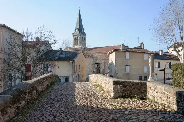 Occasion Monte Escalier Monte-escalier Brignais