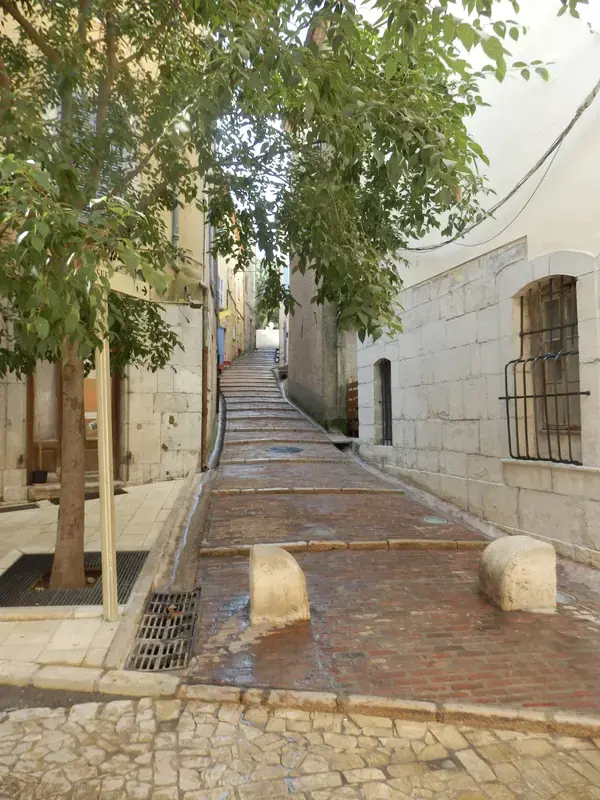 Occasion Monte Escalier Monte-escalier Brignoles