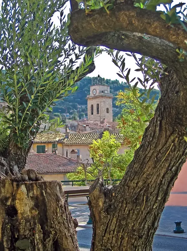 Occasion Monte Escalier Monte-escalier Ceyreste