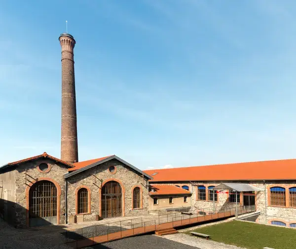 Occasion Monte Escalier Monte-escalier Chazelles-sur-Lyon