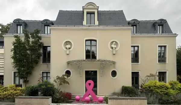 Occasion Monte Escalier Monte-escalier Combs-la-Ville