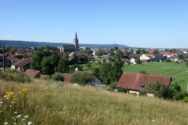 Occasion Monte Escalier Monte-escalier Doubs