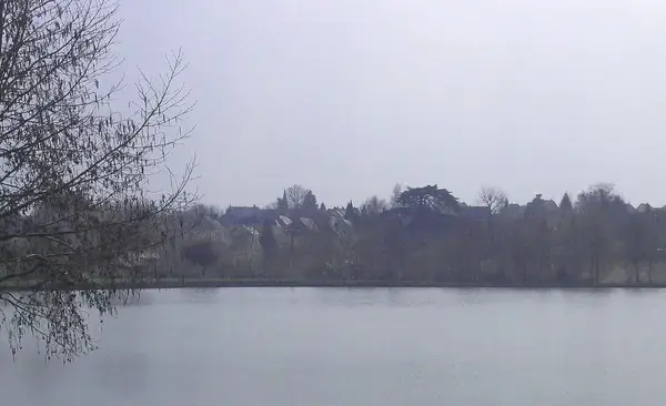 Occasion Monte Escalier Monte-escalier La Bazoge