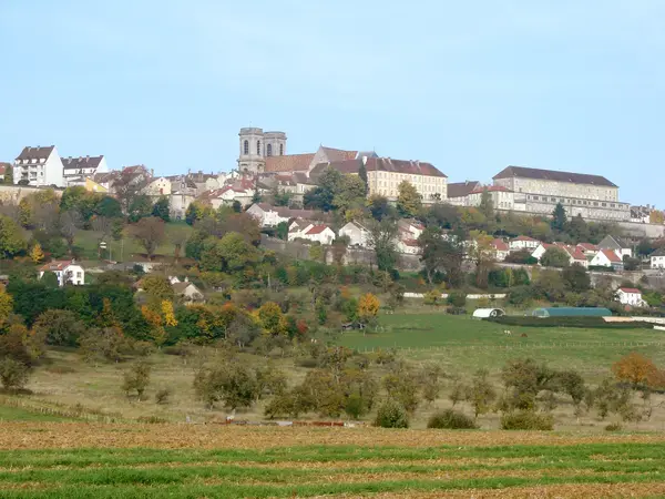 Occasion Monte Escalier Monte-escalier Langres