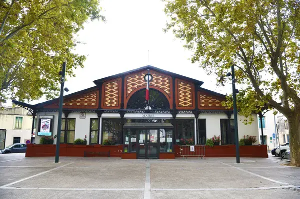 Occasion Monte Escalier Monte-escalier Lansargues