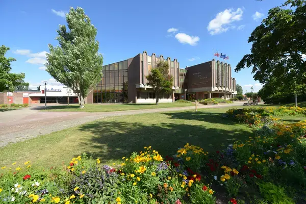 Occasion Monte Escalier Monte-escalier Leffrinckoucke