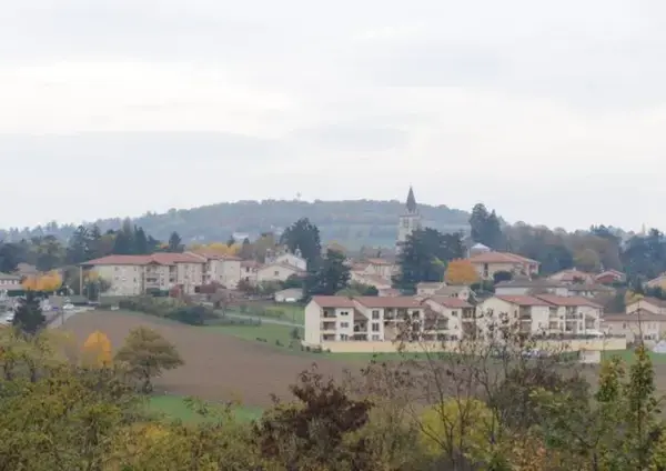 Occasion Monte Escalier Monte-escalier Lentilly