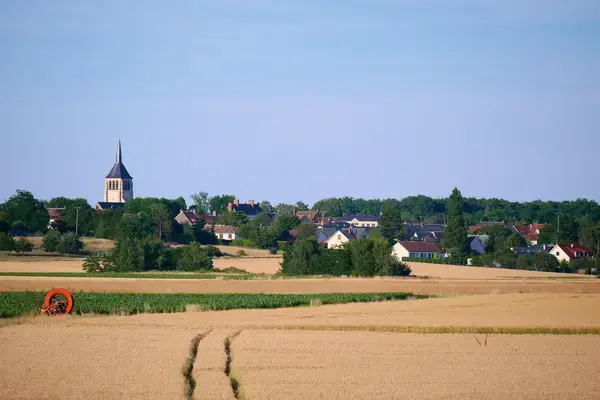 Occasion Monte Escalier Monte-escalier Mardié