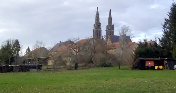 Occasion Monte Escalier Monte-escalier Munster