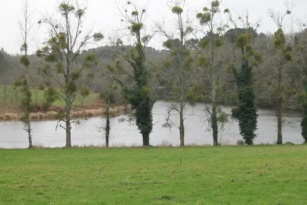 Occasion Monte Escalier Monte-escalier Muzillac