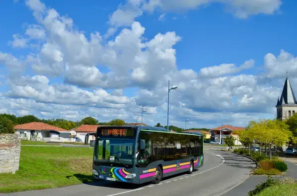 Occasion Monte Escalier Monte-escalier Narrosse