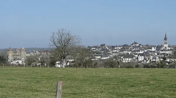 Occasion Monte Escalier Monte-escalier Ombrée d'Anjou