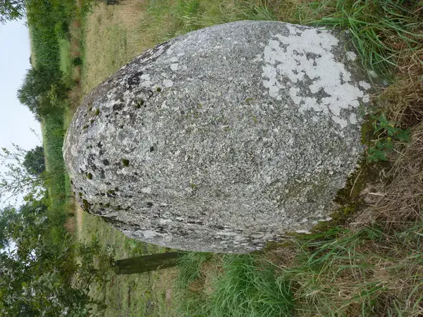 Occasion Monte Escalier Monte-escalier Plaintel