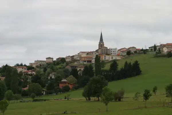 Occasion Monte Escalier Monte-escalier Saint-Christo-en-Jarez