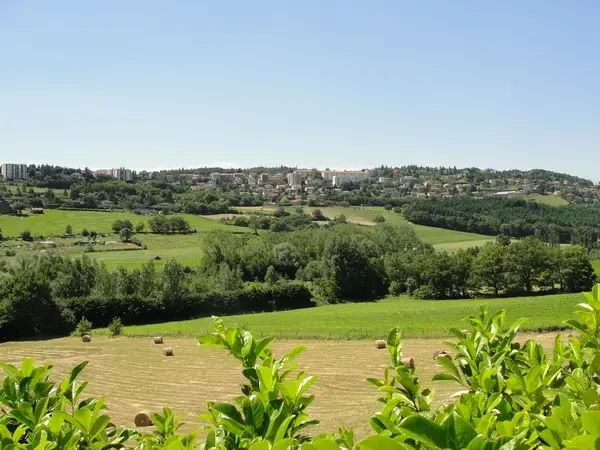 Occasion Monte Escalier Monte-escalier Saint-Genest-Lerpt