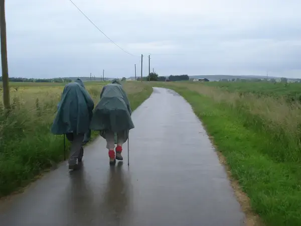 Occasion Monte Escalier Monte-escalier Saint-Martin-des-Champs