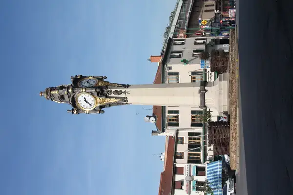Occasion Monte Escalier Monte-escalier Tassin-la-Demi-Lune
