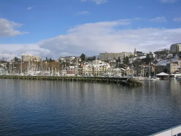 Occasion Monte Escalier Monte-escalier Thonon-les-Bains