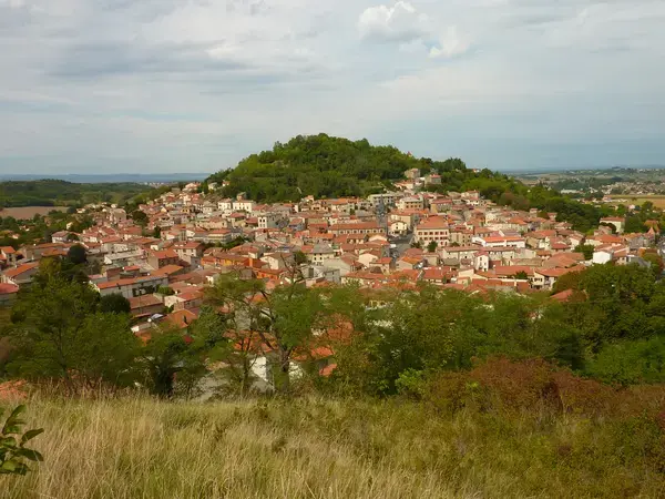Occasion Monte Escalier Monte-escalier Vertaizon