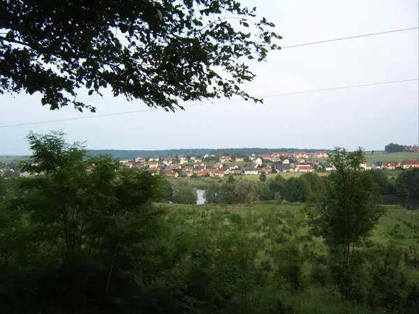 Occasion Monte Escalier Monte-escalier Woustviller